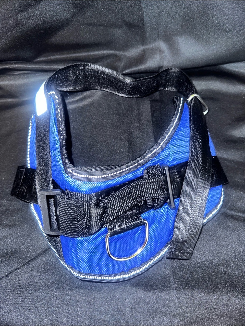 # Blue Dog Harness with Reflective Trim - Size Medium